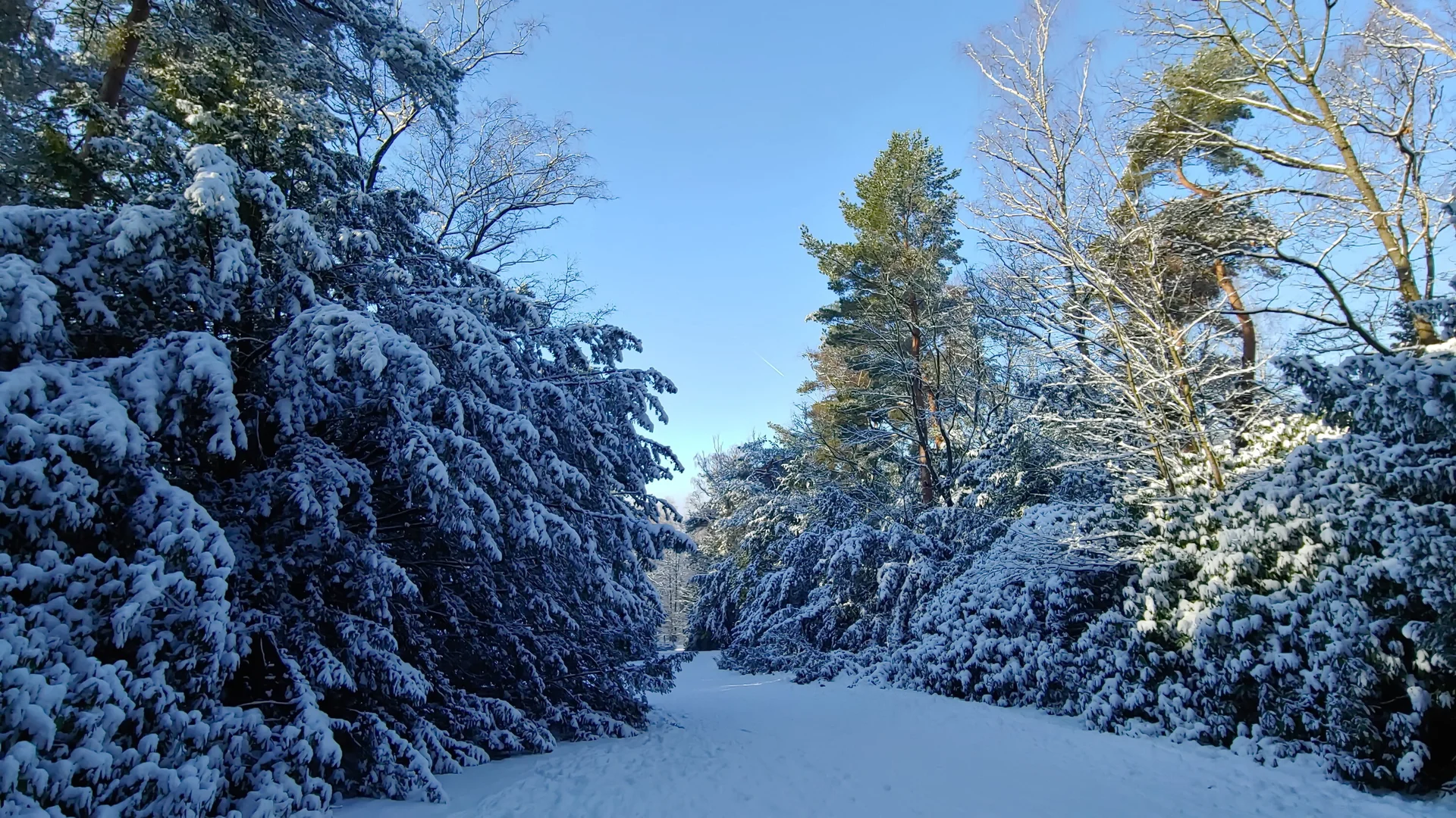Ohligser Heide im Winter | © Uwe Drath