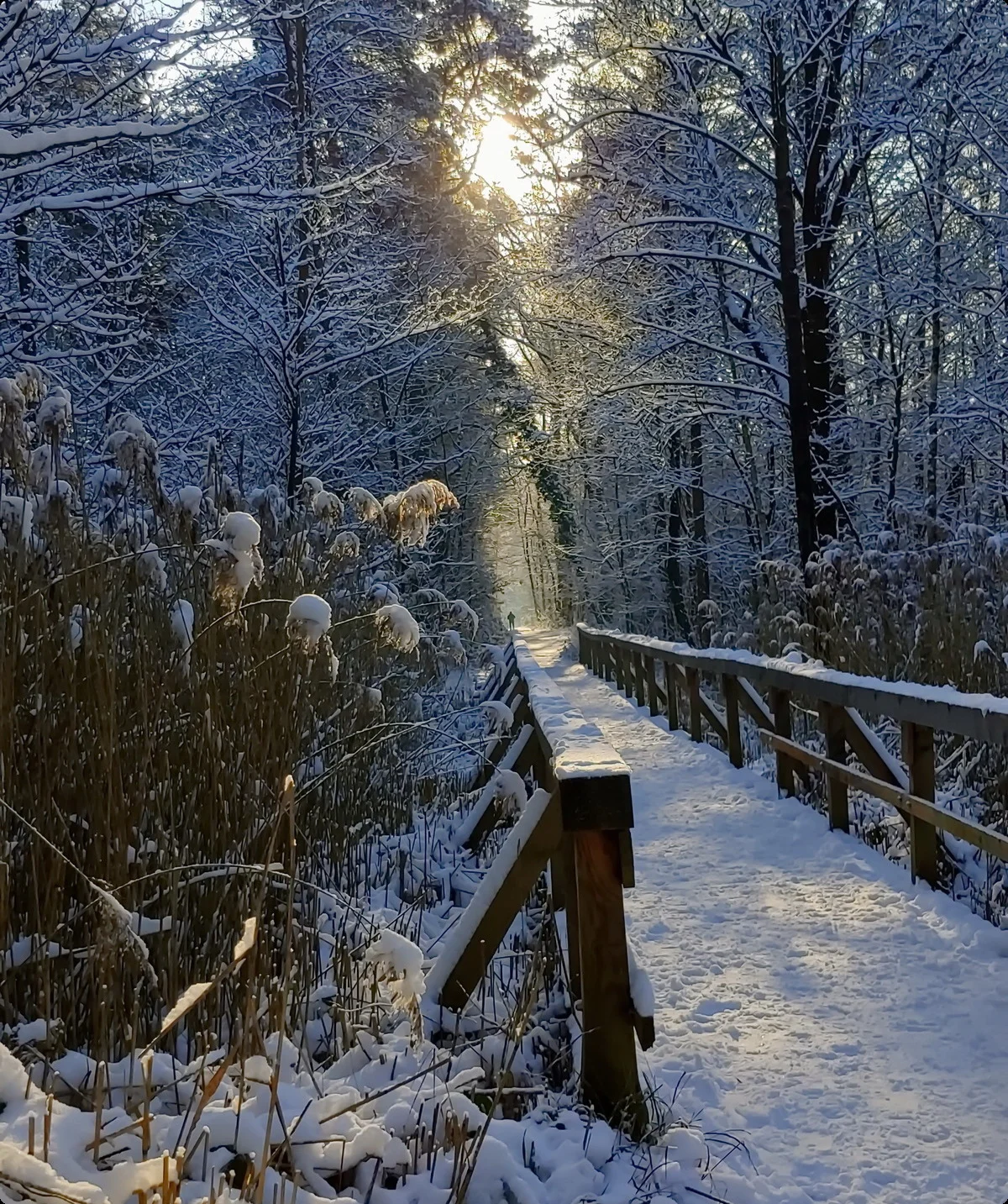 Ohligser Heide im Winter | © Uwe Drath
