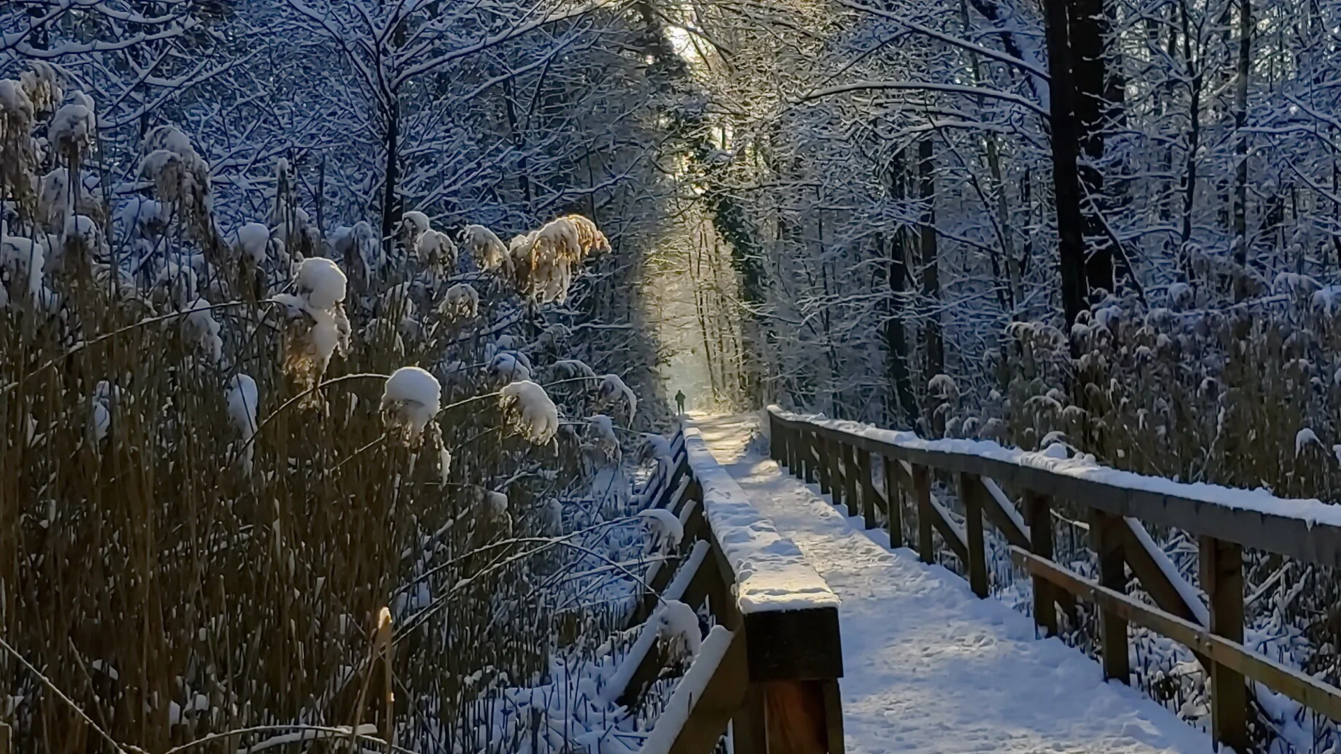 Ohligser Heide im Winter | © Uwe Drath
