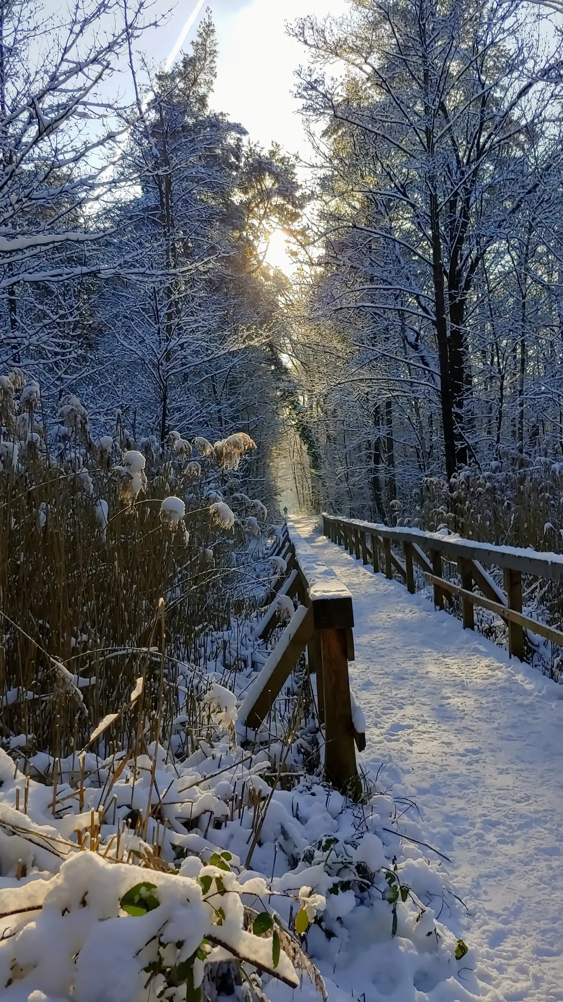 Ohligser Heide im Winter | © Uwe Drath