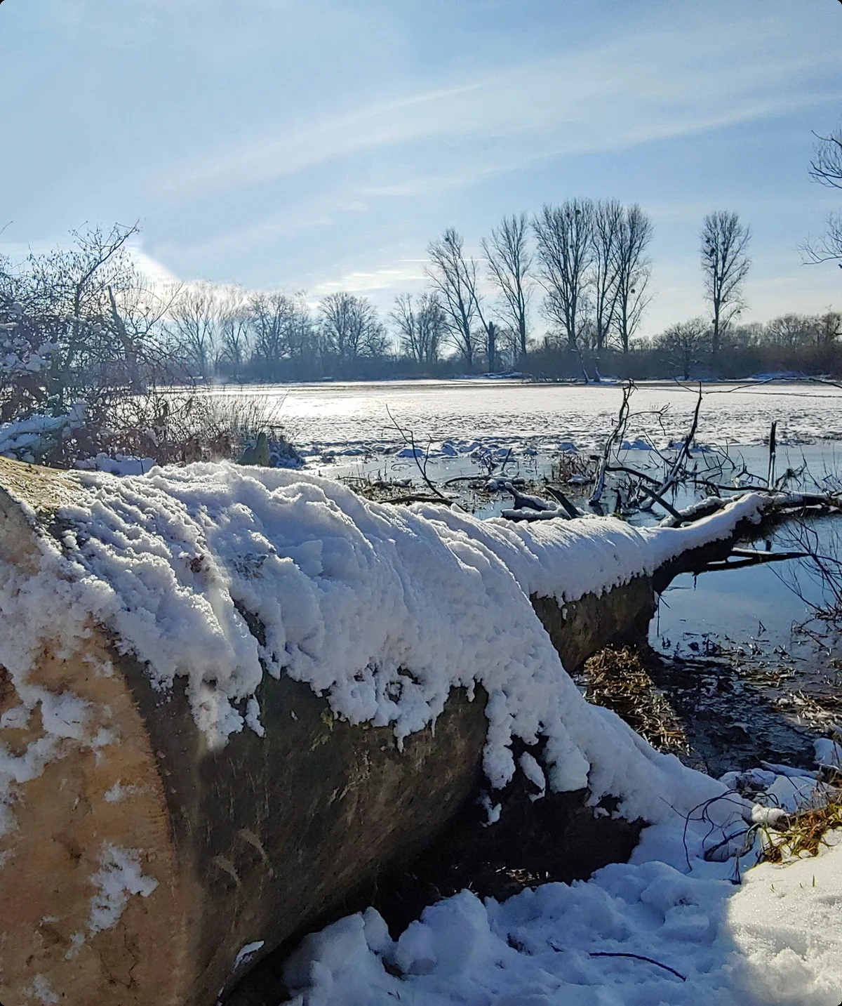 Urdenbacher Kämpe im Winter | © Uwe Drath