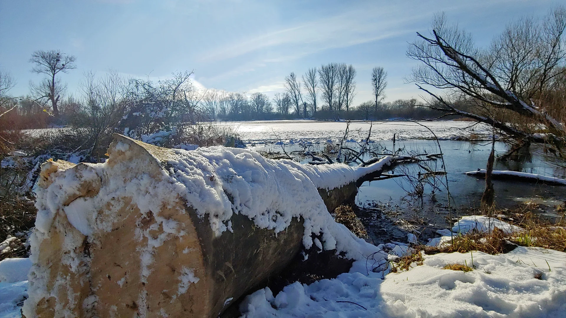 Urdenbacher Kämpe im Winter | © Uwe Drath
