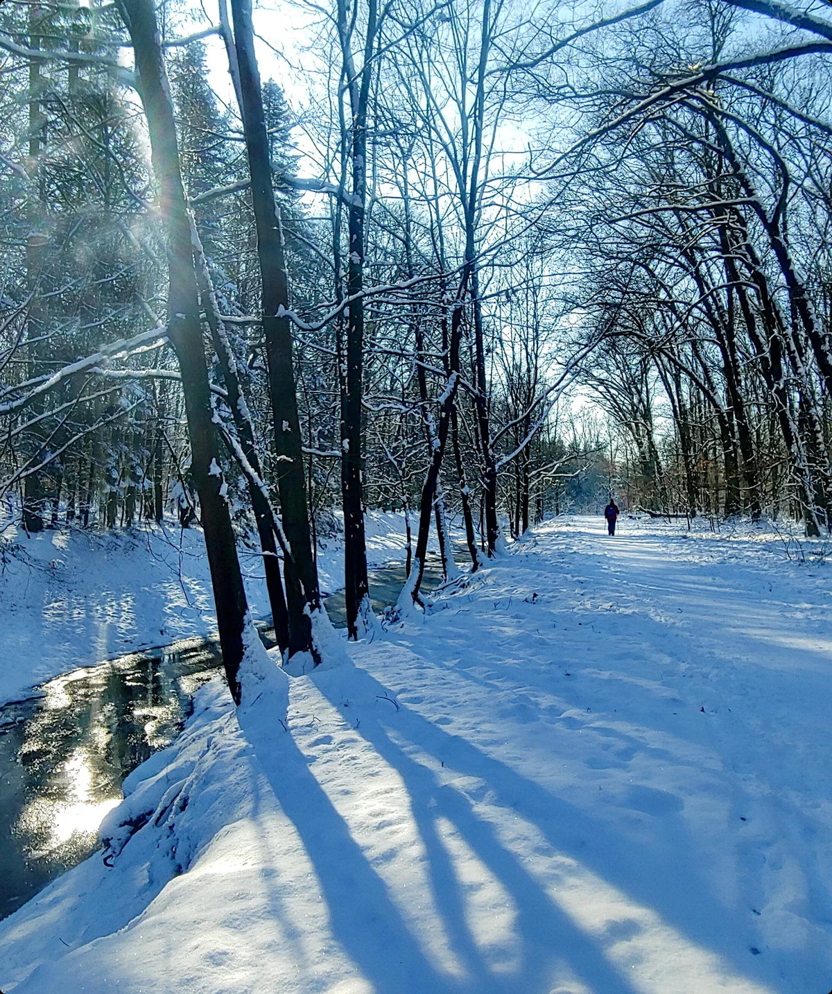 Garather Wald im Winter | © Uwe Drath