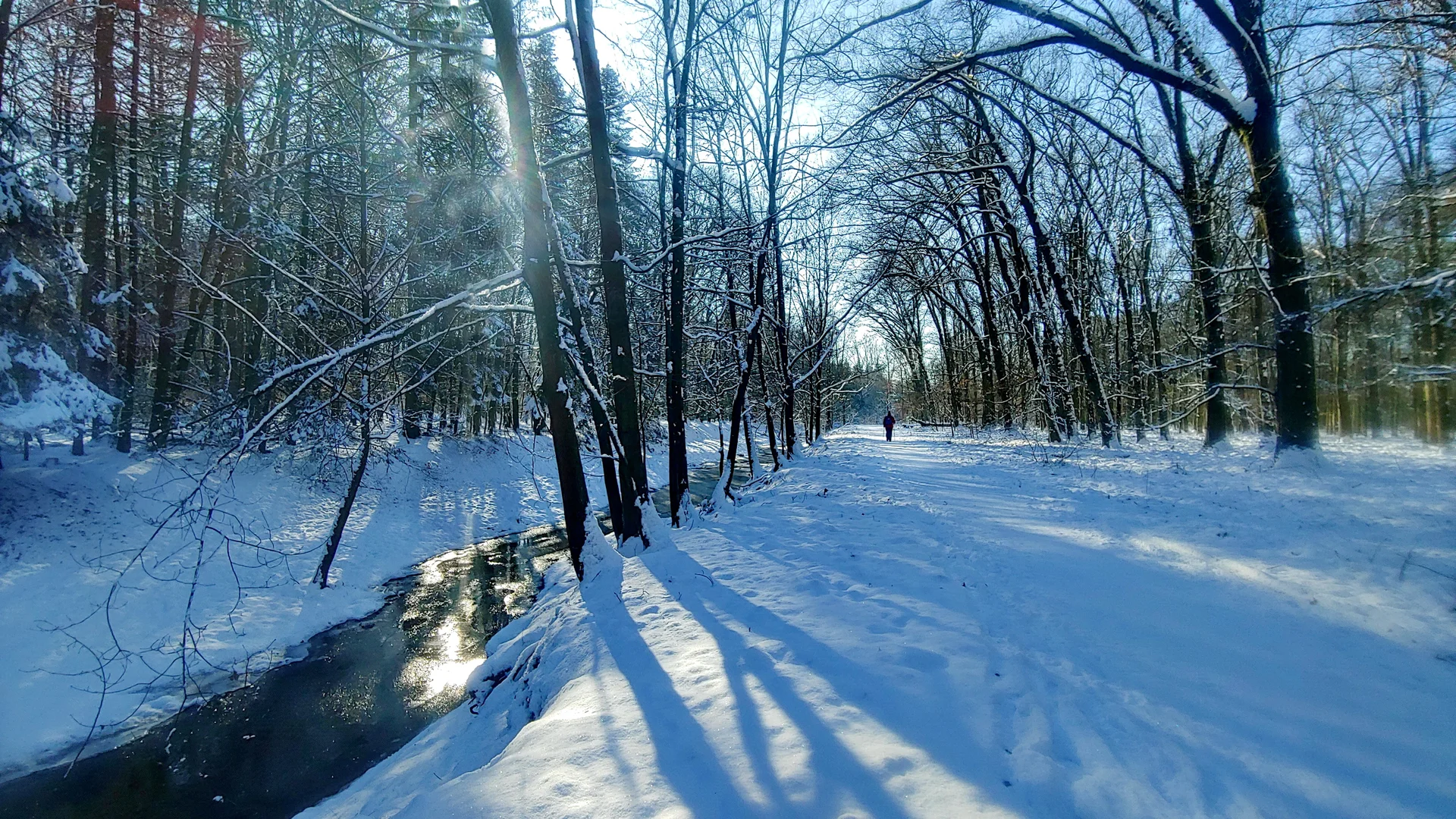 Garather Wald im Winter | © Uwe Drath
