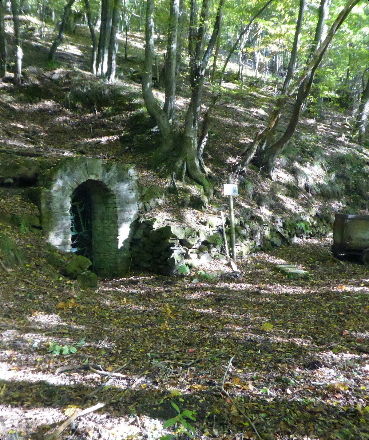 Voerde, Hasper-Talsperre | © Uwe Drath