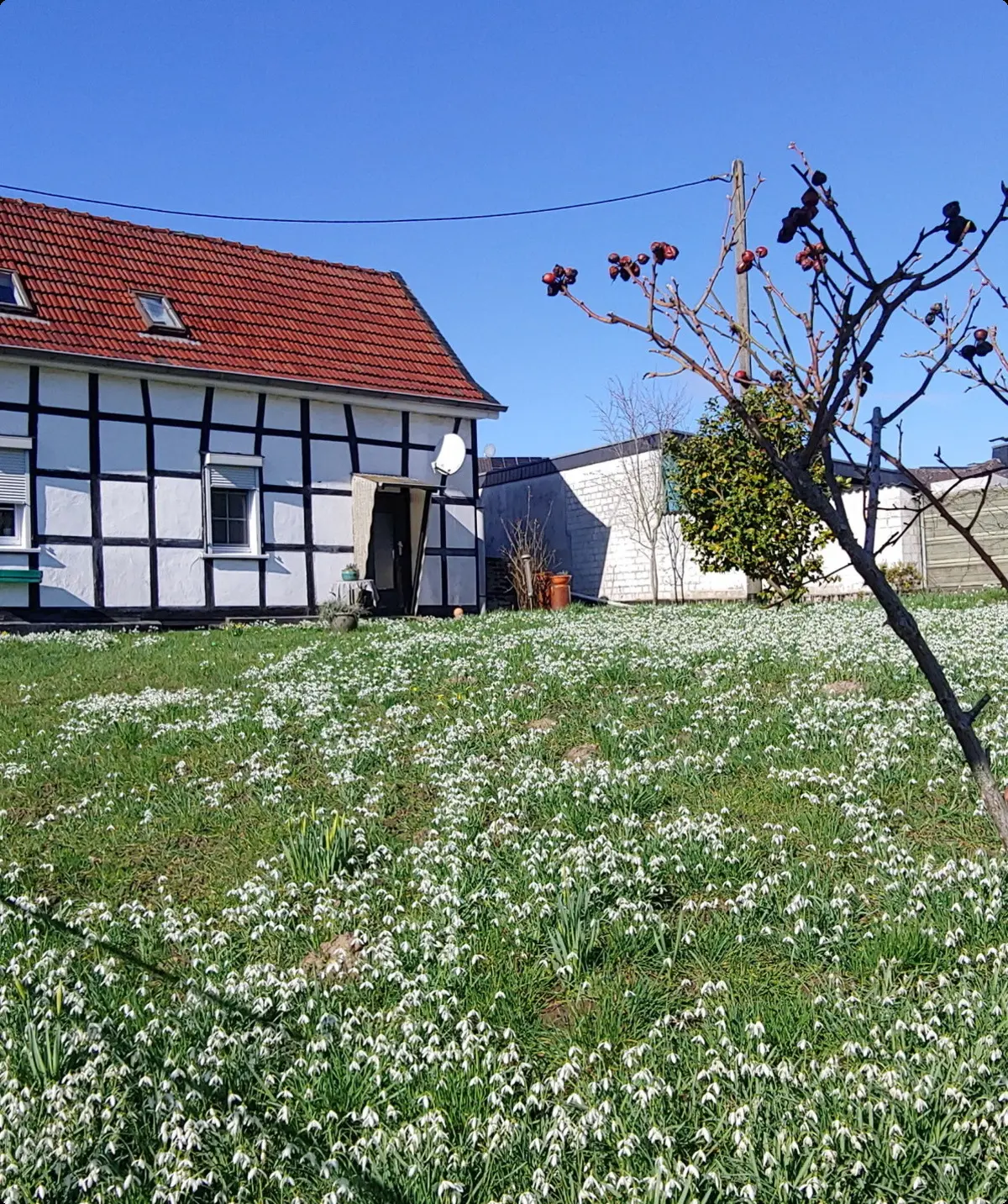 Obstweg Leichlingen OT Bennert | © Uwe Drath