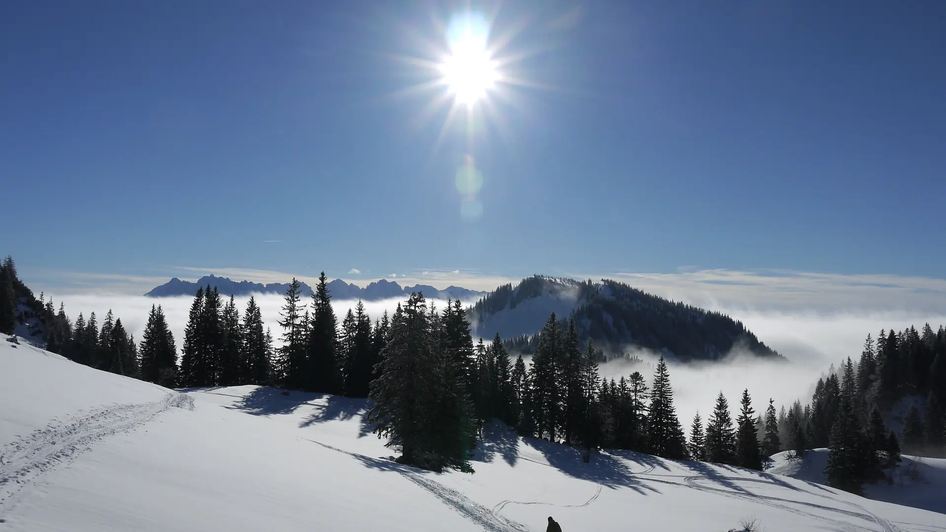Schneeschuhwanderung | © Alexander Schiller