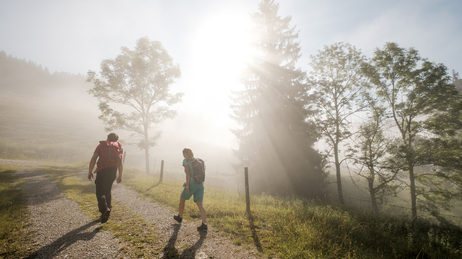 Gemeinsame Wanderung im Chiemgau | © DAV/Hans Herbig Gemeinsamer Aufstieg bei Sonnenaufgang - die Sonne scheint durch den Nebel | © DAV/Hans Herbig