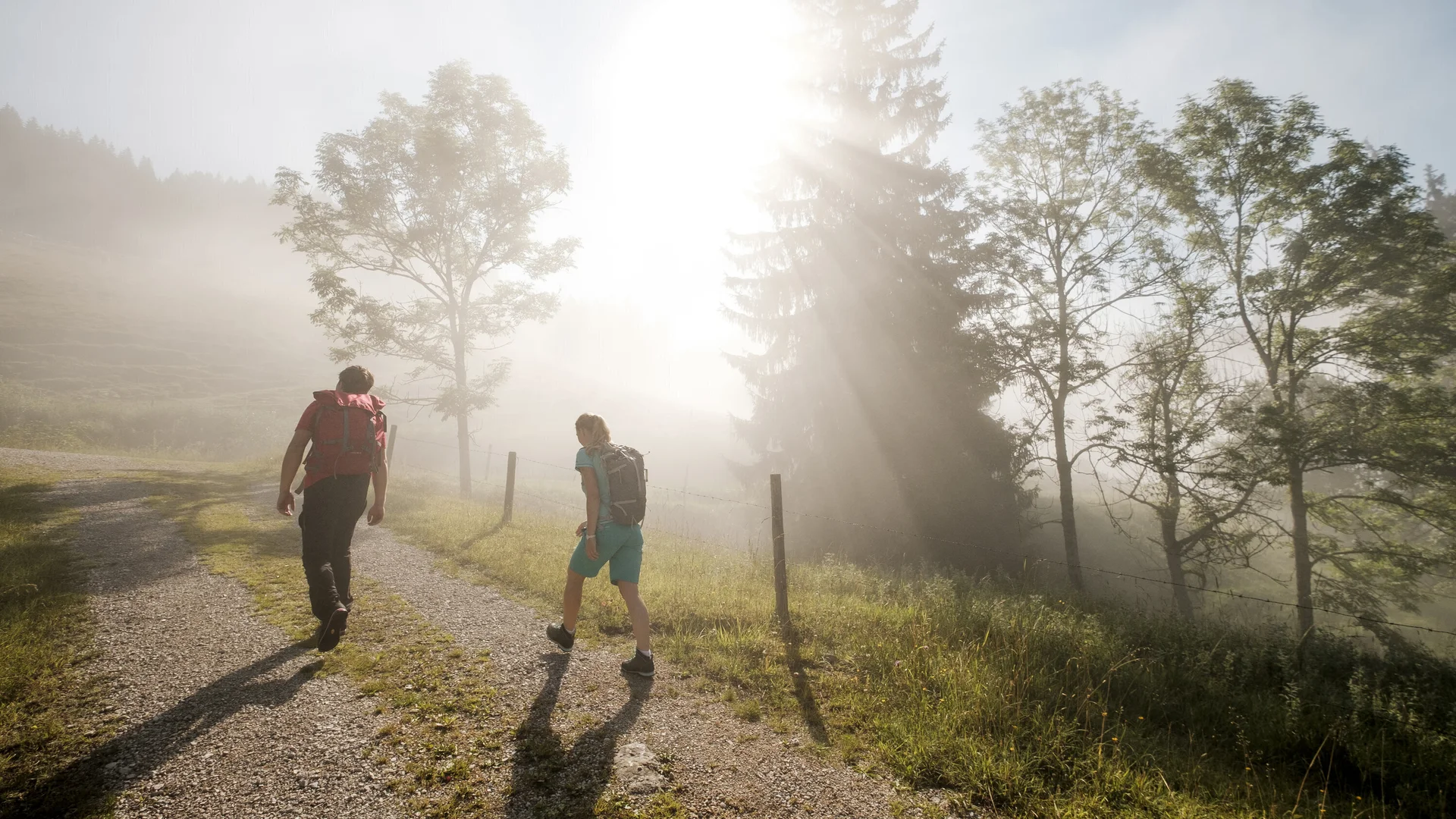 Gemeinsame Wanderung im Chiemgau | © DAV/Hans Herbig Gemeinsamer Aufstieg bei Sonnenaufgang - die Sonne scheint durch den Nebel | © DAV/Hans Herbig