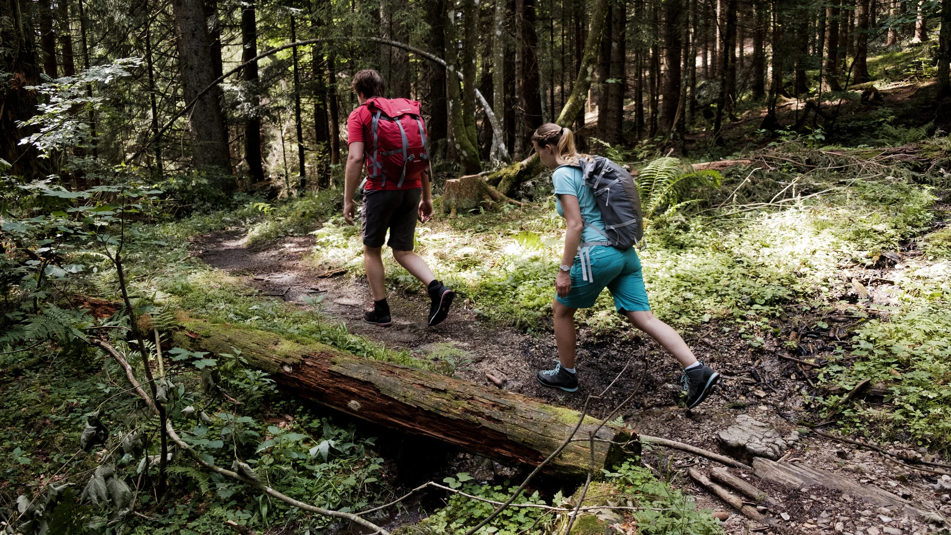 Zwei Wanderer auf dem Weg durch einen Wald | © DAV/Hans Herbig