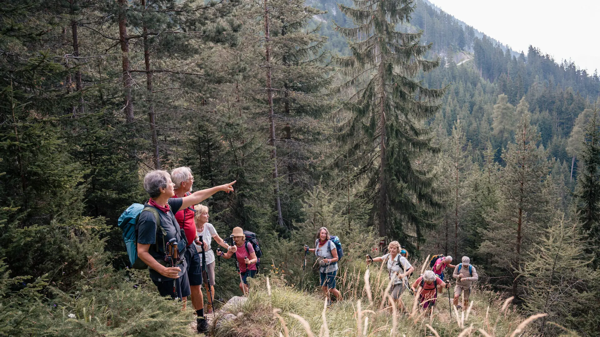 Seniorenwandergruppe in den Bergen | © DAV / Marisa Koch
